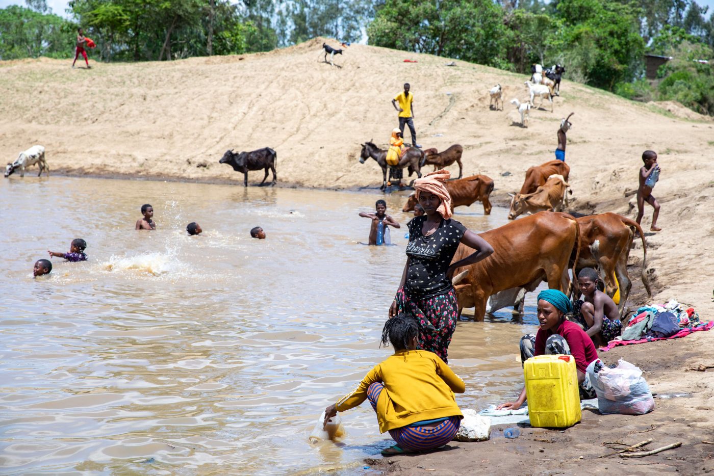 The manmade dam in Keranso, Shone Woreda, traps water from the previous rainy season which the local community uses for washing clothes, bathing, swimming, taking home for household chores, and providing water for their cattle. Credit SCI Foundation/I.Getachew