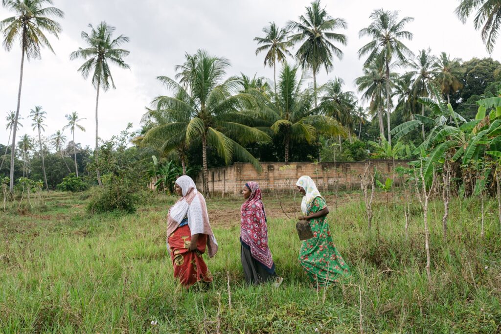 Mariam and her children walking in rice paddies, the water which may be contaminated with schistosoma parasites. 