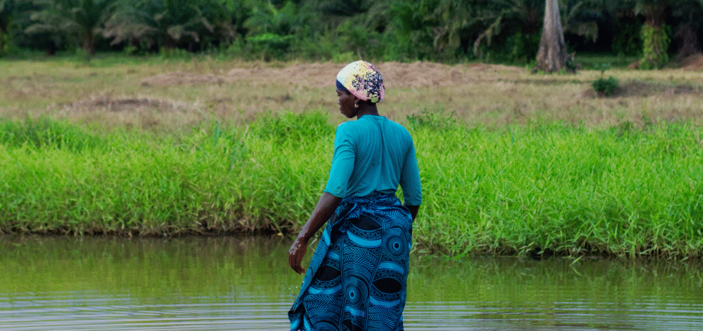 Woman in a swamp between Soubré and Okrouy