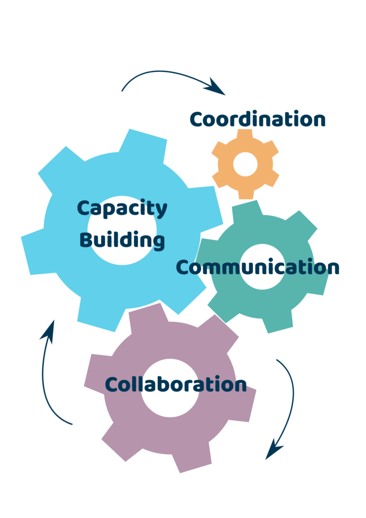 The four core pillars of One Health implementation: Communication, Coordination, Collaboration and Capacity Building.