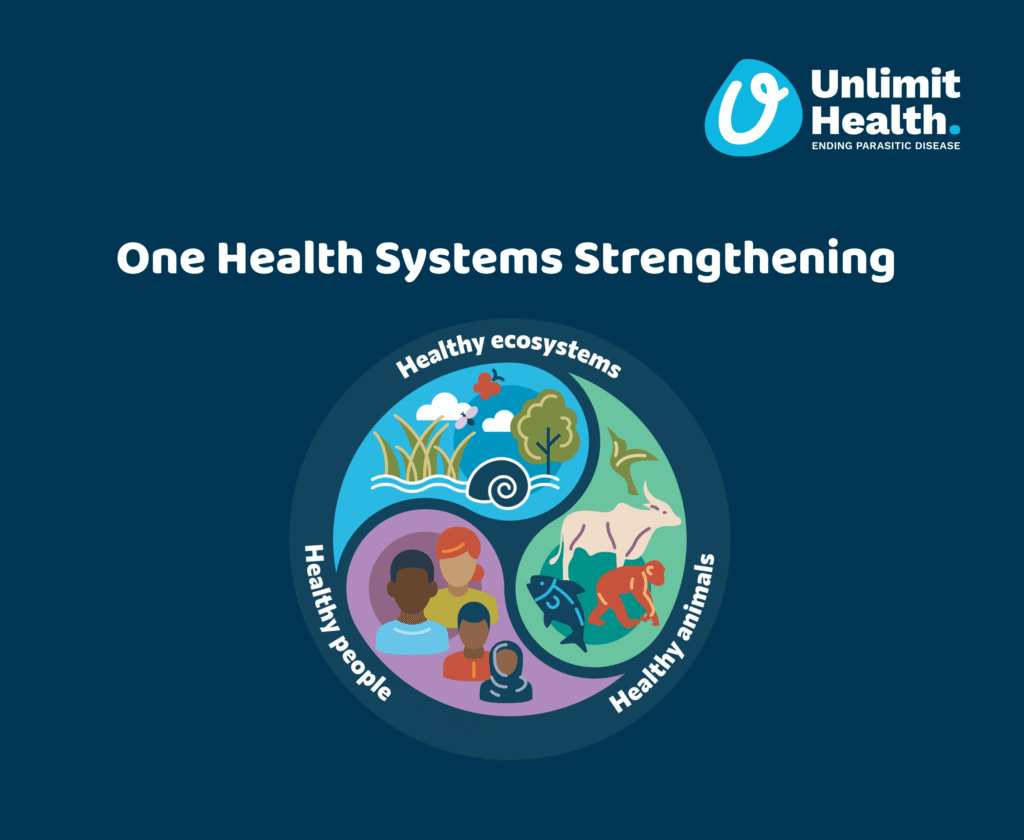 One Health Bat Connecting animal, human, and environmental health: strengthening One ...