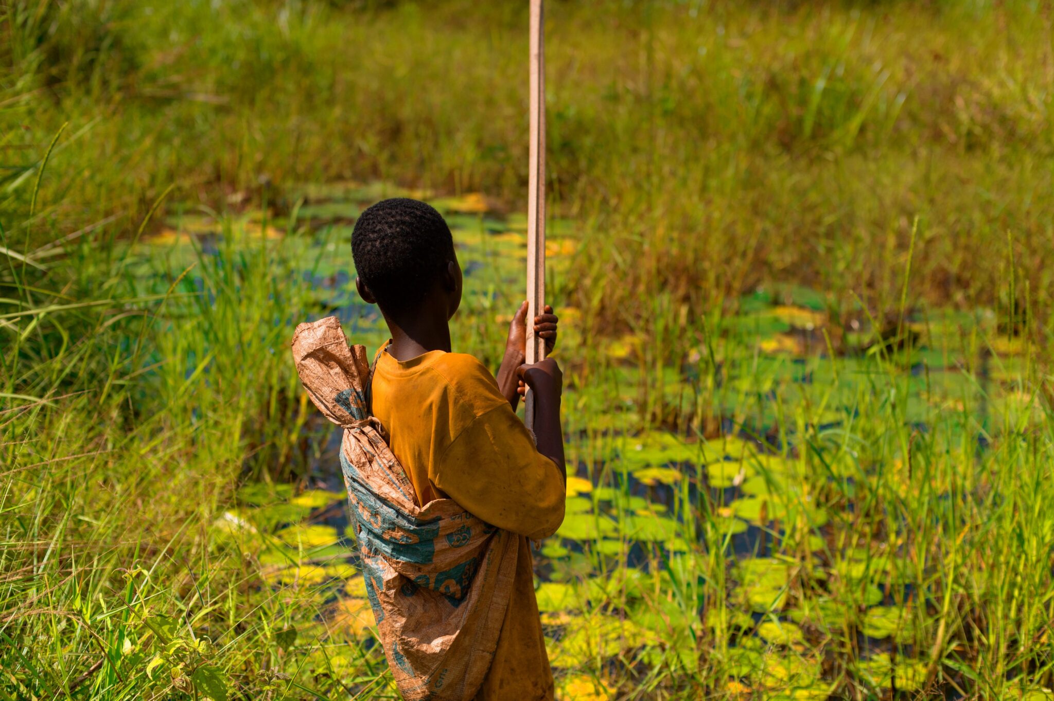 Young boys often spend their free time hunting frogs in the nearby swamps. This activity is more than an adventure; it provides food for their families and a small income through selling the frogs at the local markets.